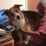 Glenn Law - @law_glenn - Instagram