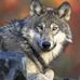 Glenn Leader - Facebook