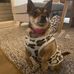 Glenn Levitt - Facebook