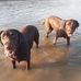 Glenn Lecompte - Facebook