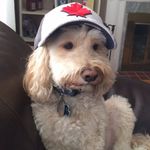 Glenn Legere - @glennlegere - Instagram