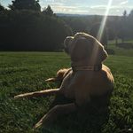Glenn Lehman - @thgglehman - Instagram