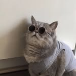 Glenn_Leo - @glenn.3172 - Instagram