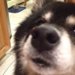 Glenn Levy - @glenn.levy.923 - Instagram