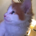 Glenn light - @glenn_light_jr - Instagram
