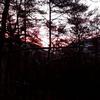 glennlinthicum5757 - @glennlinthicum5757 - TikTok