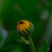 Glenn Lindquist - Facebook