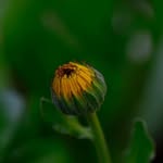 Glenn Lindquist - @glenn.lindquist.9 - Instagram