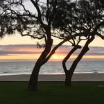 Glenda Linscott - @glinnnstagram - Instagram