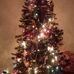 Glenn Lipscomb - Facebook