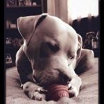 Daulton Glenn Littrell - @daulton_lil - Instagram
