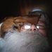 Glenn Lively - Facebook
