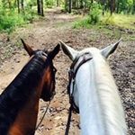 Glenn Locke - @glennlocke6 - Instagram