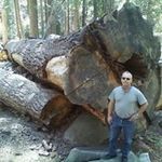 glenn lockner - @glennlockner - Instagram