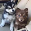 nlongacre - @nlongacre - TikTok
