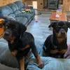 Glenn Lowe - @glenn.lowe0 - TikTok