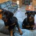 Glenn Lowe - Facebook
