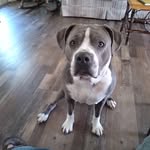 Glenn Lytle - @gpl_196631 - Instagram