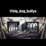 Tarek Badran Glenn Madden 🦍🦍🐆🐅 - @big_dog_bullys - Instagram