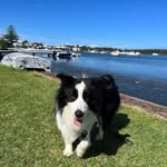 Glenn Mahoney - @glenn.mahoney - Instagram