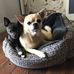 Glenn Maple - Facebook