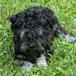 Glenn L Mays - @gmays.patsfan - Instagram
