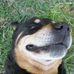 Glenn Mays - Facebook