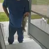 Danielle  pratt - @glenn.mcneely2 - TikTok