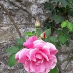 Glenn Meade - @glenn.meade.33 - Instagram