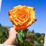 Glenn - @glenn.montesions - Instagram