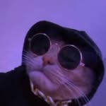 Glenn Montesant - @glennmontesant - Instagram