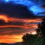 Glenn_Morton - @glenn_mortoni - Instagram