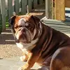 glennmorton992 - @glennmorton992 - TikTok
