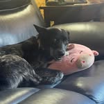 Glenn Mosley - @buckhunterone - Instagram