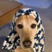 Glenn Mosley - Facebook