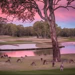 Glenn Nation - @glennnation - Instagram