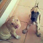 Glenn Niharja - @antares_x7 - Instagram