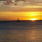 Glenn Noel - @vosje_62 - Instagram