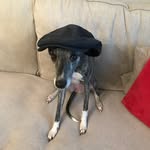 Glenn Norman - @norman_glenn - Instagram