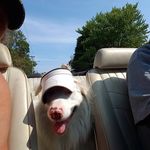Glenn Oates - @glennoates - Instagram