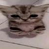 Glenn Oglesby - @glennoglesby441 - TikTok