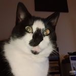 Glenn Osborne - @g.obsorne - Instagram