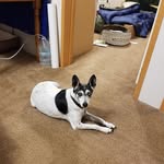 Glenn Parks - @glenn.parks.3720 - Instagram