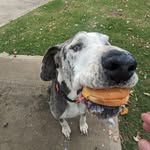 Glenn Parnell - @the_glendatron - Instagram