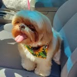Glen Parrett - @glenparrett - Instagram