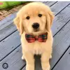 Glenn patton - @glennpatton04 - TikTok