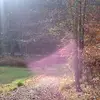 Glenn Pack - @glennpack - TikTok