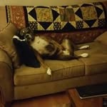 Glenn Penn - @penn8143 - Instagram
