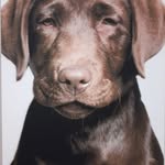 Glenn Perkins - @glennperkins452 - Instagram
