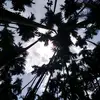 glennipinto - @glennipinto - TikTok